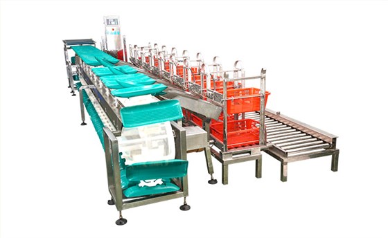 重量分級(jí)秤的特點(diǎn)是什么？簡述分級(jí)秤構(gòu)造