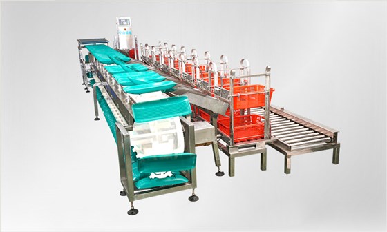 重量分級秤的優(yōu)點有哪些？說說自動分級秤特點