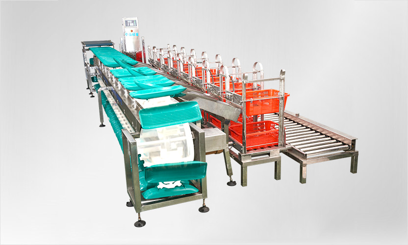 重量分級秤的優(yōu)點有哪些？說說自動分級秤特點